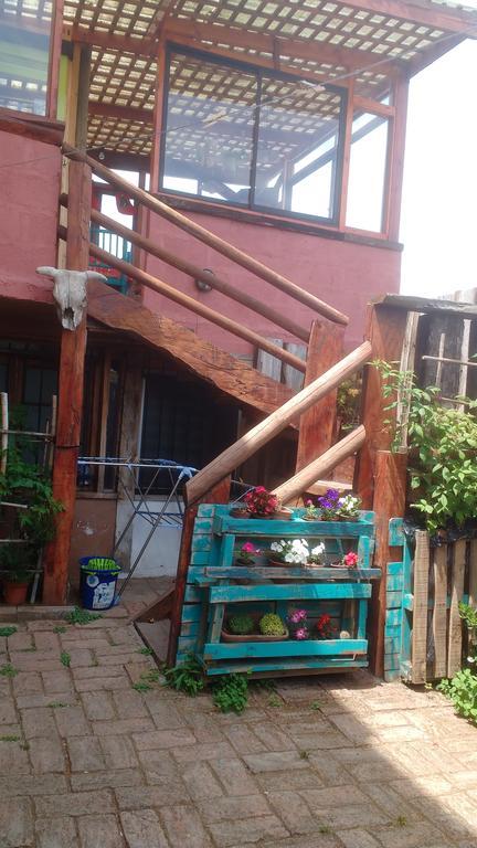 Hostal Buena Vista سان أنطونيو المظهر الخارجي الصورة