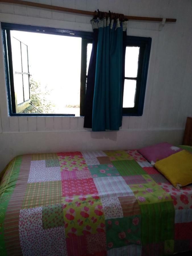 Hostal Buena Vista سان أنطونيو المظهر الخارجي الصورة